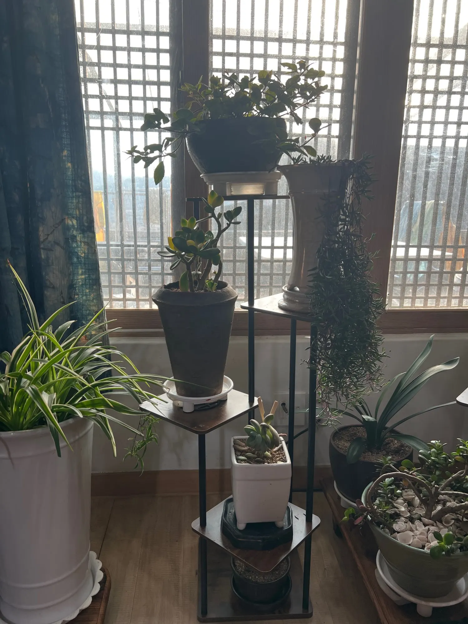 구매후기