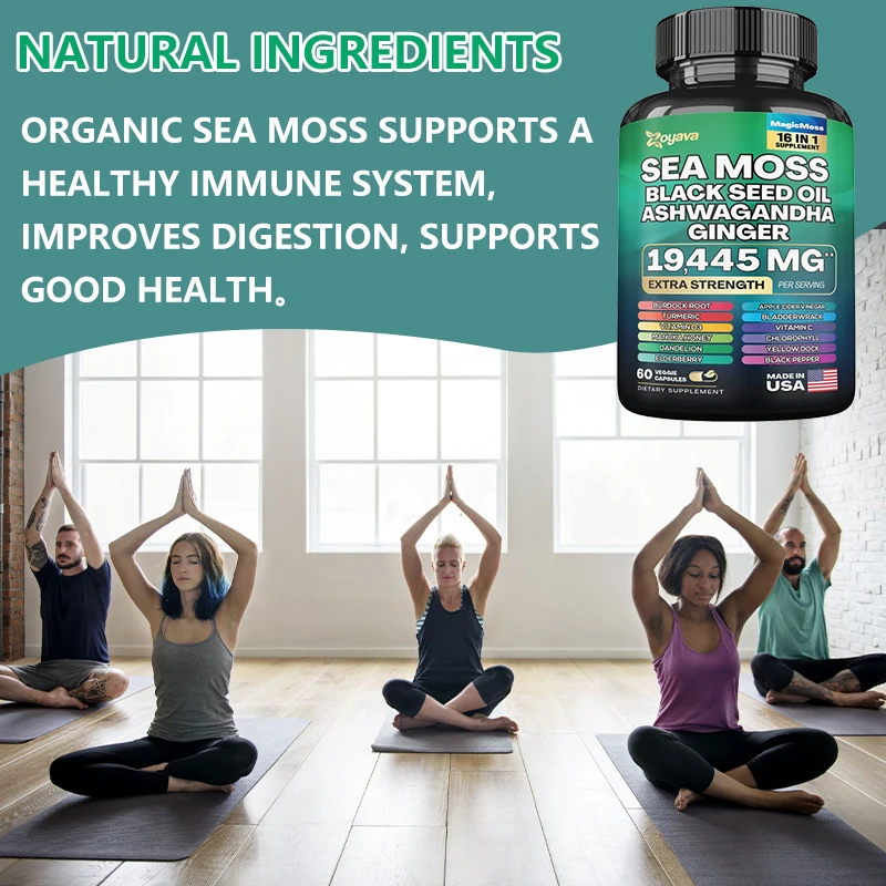 Seaweed, Black Oil Seed, Ashwagandha, Ginseng Extracts To Support Gut Health, Digestion, Joints, for Men and Women