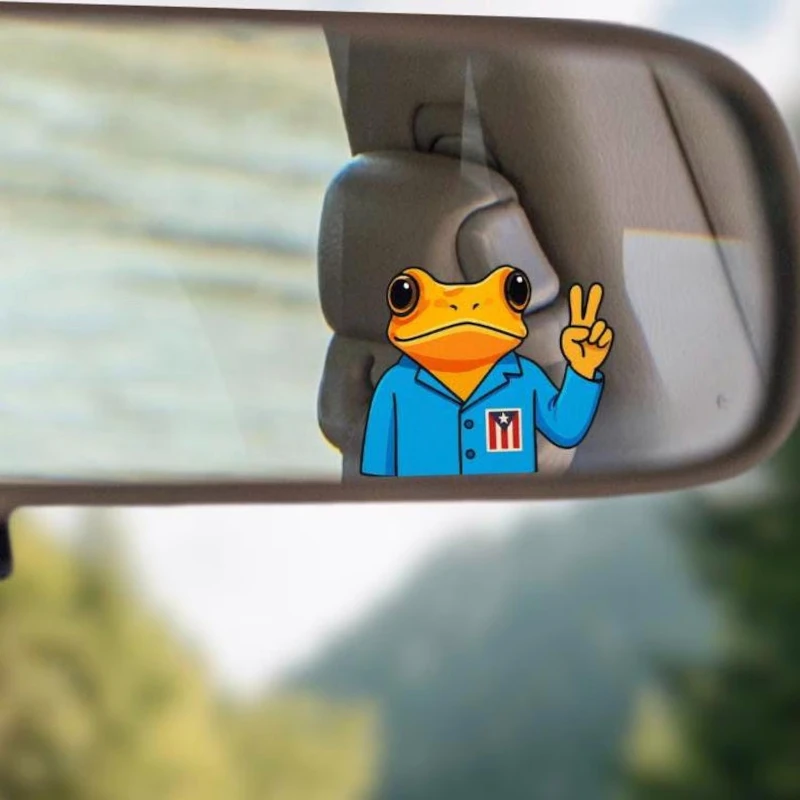 Rearview Mirror Fro…