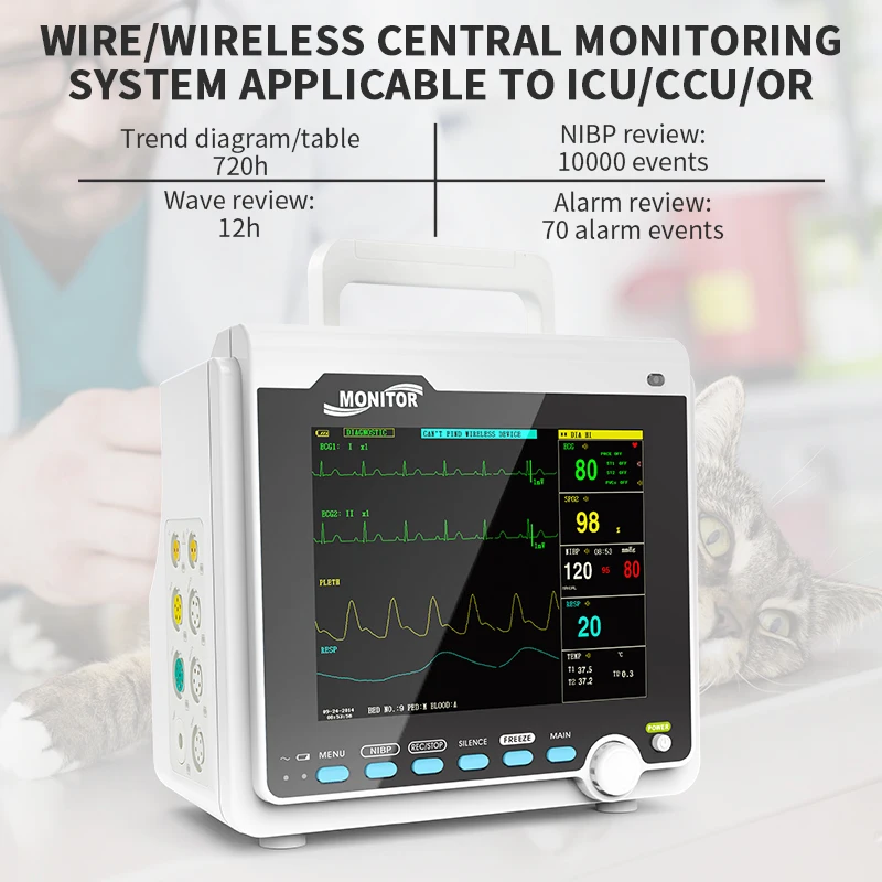 Animal Instrument Ambulatory Blood Pressure Monitor Lcd Digital large Screen multiparameter Etco2 Veterinary Monitor