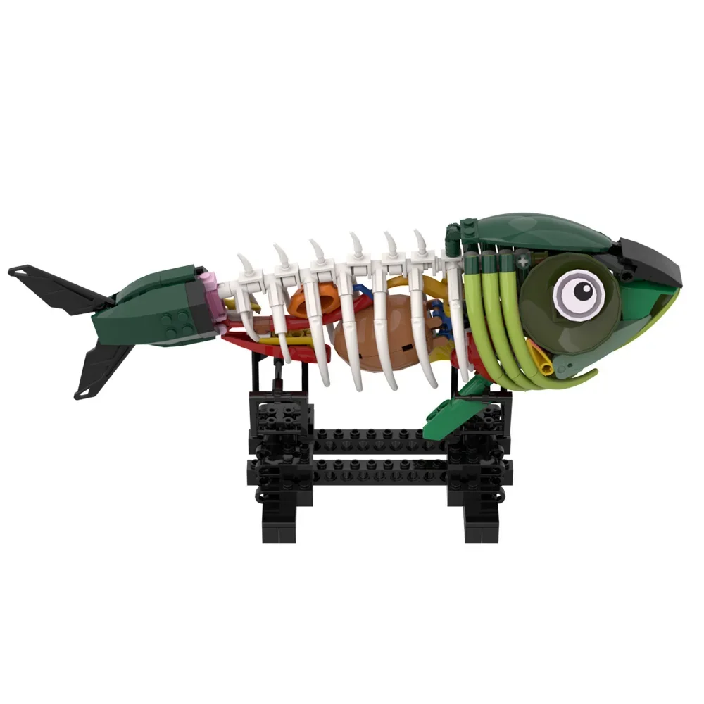 Moc osso peixe blocos de construção criatividade modelo osso peixe rack exibição tijolos diy montado brinquedo educação para crianças presente escolar