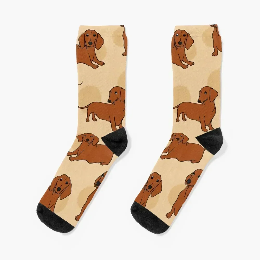 

Brown Smooth Dachshund Pattern Sticker Pack Socks anime basketball colored hockey Socks Men Women's