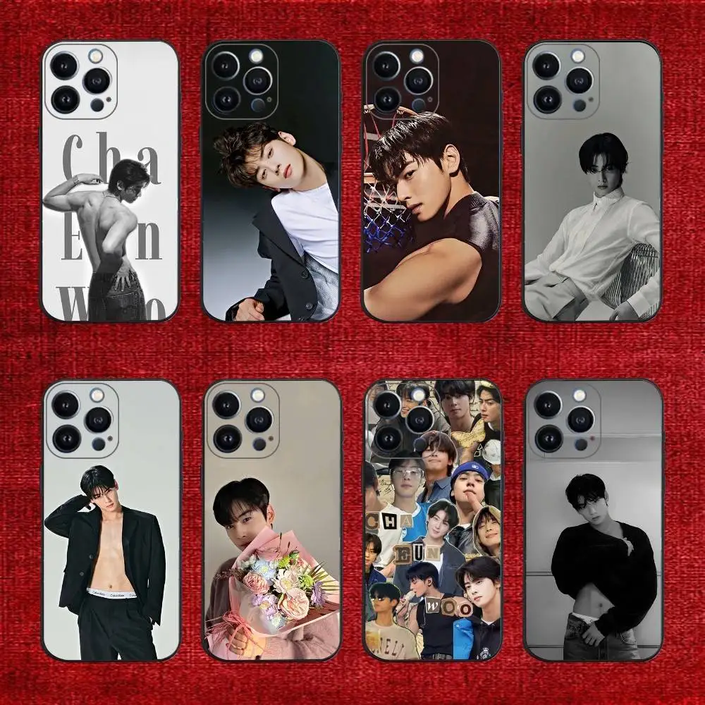

Singer Cha E-EunWoo Phone Case For iPhone 16e,16,15,14,13,12,11,Pro,X,XS,Max,XR,Plus,Mini Soft Black Cover