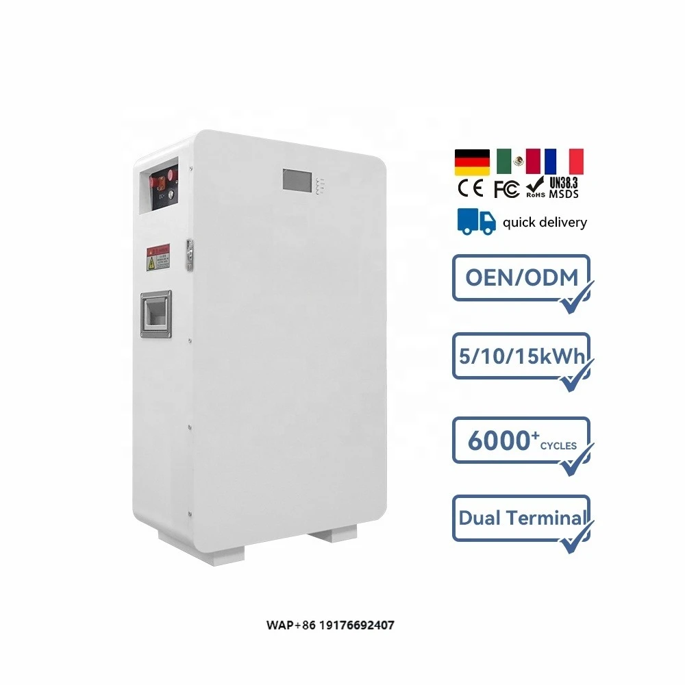Customized 100Ah 200Ah 10KW 15KW Home LiFePO4 Battery Lithium Batteries Solar Energy Storage Battery 10kwh 15kwh
