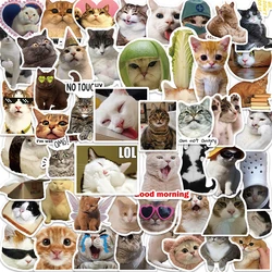 10/30/50PCS Mix Cat Meme Animal Graffiti Stickers Cute Travel Skateboard Suitcase Guitar Luggage Laptop Funny Sticker Decals