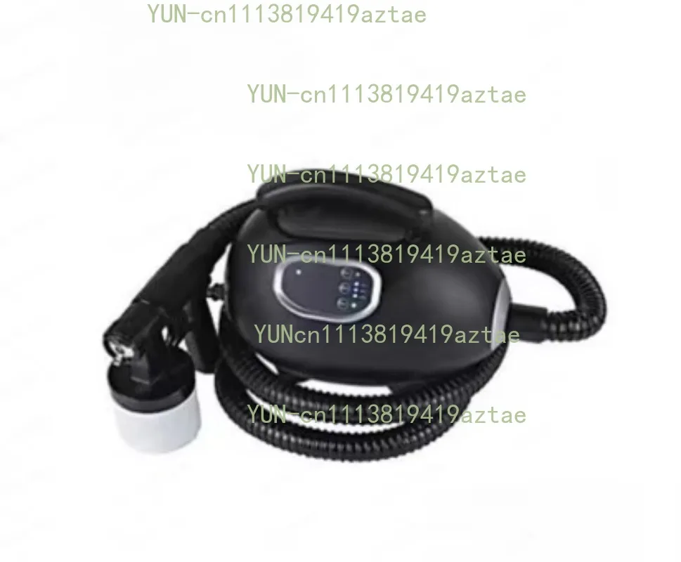 Sunless Tan Spray Machine Professional Electric   Airbrush  Salon SPA Beauty ning er Air Brush for Home
