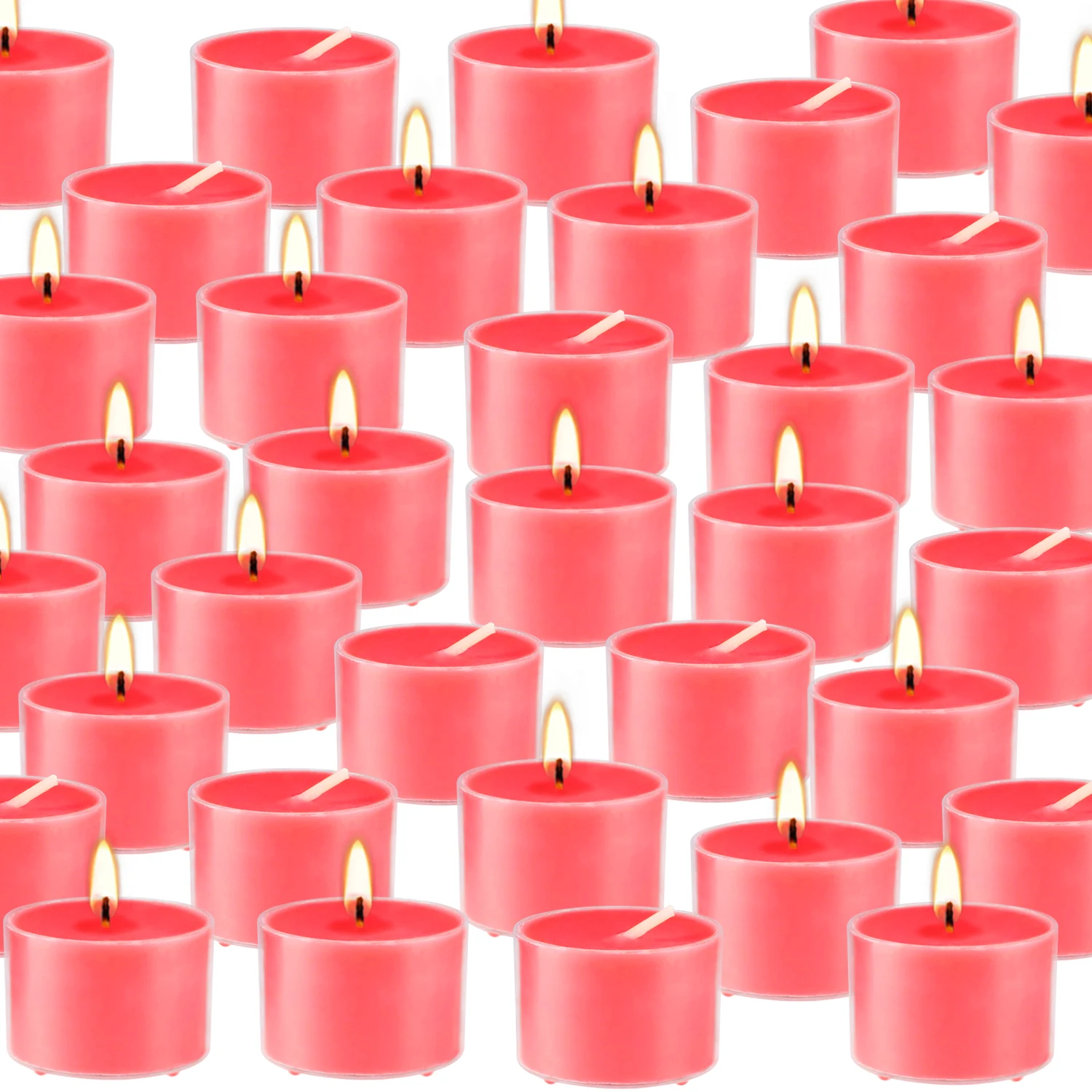 50-pack 8-hour red apple tea wax scented candle