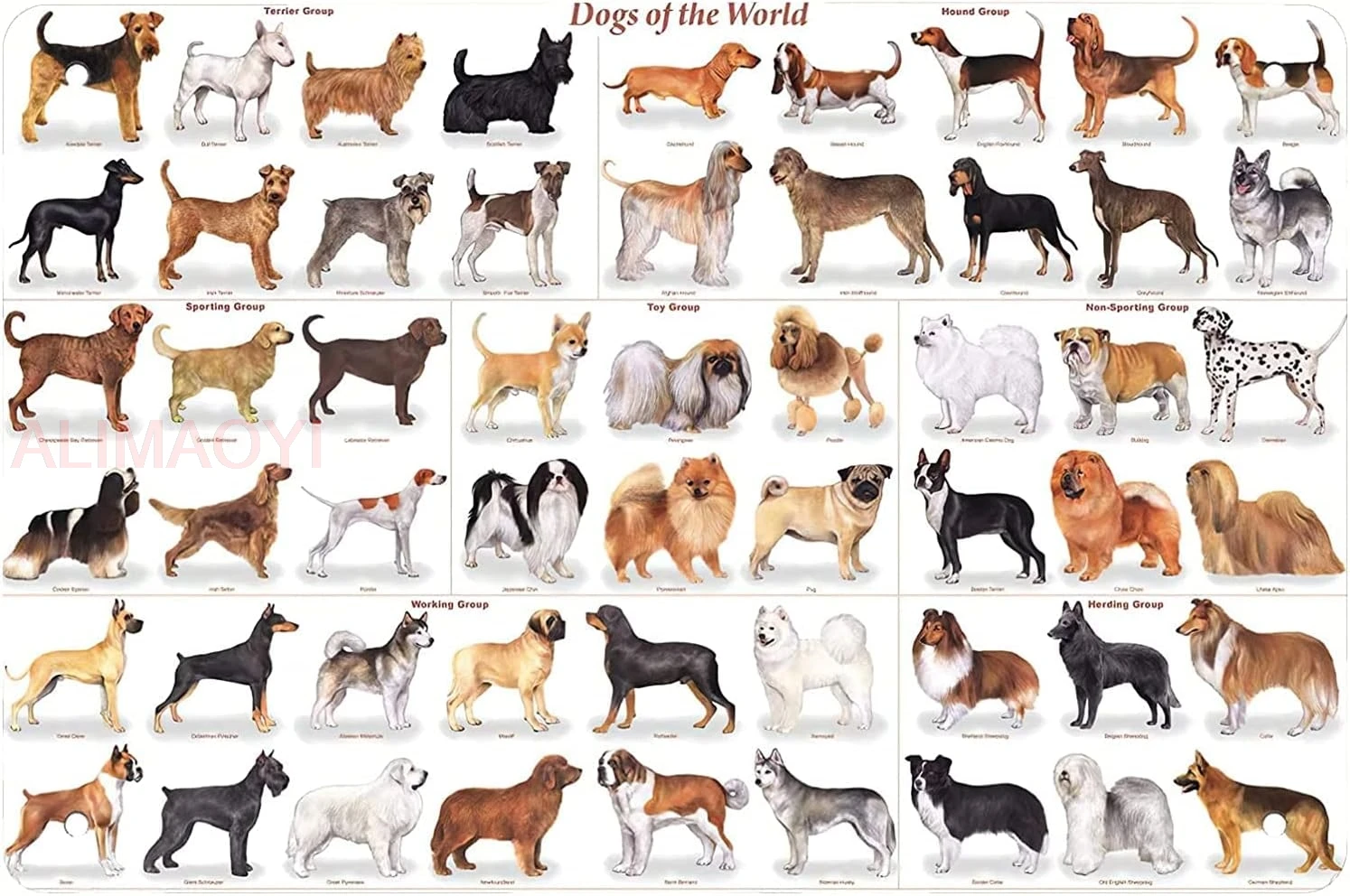 Posters Dogs of The World Popular Breeds Chart Tin Signs Unique Metal Bar Wall Plaque Decor Vintage Kitchen Tin Sign 8 X 12