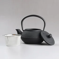 Small Japanese Iron Tea Pot with Stainless Steel Infuser Cast Teapot 300ML  Kettle for Boiling Water Oolong