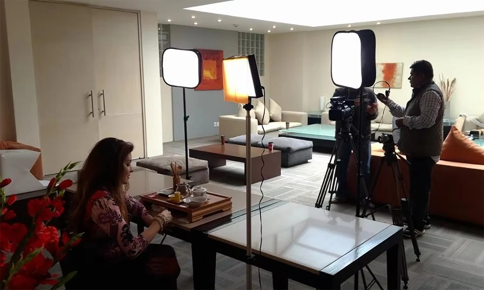 SB300 Softbox Diffusore per YONGNUO YN300 III II,YN300 Air LED Pannello luminoso video Pieghevole portatile Filtro morbido treppiede fotocamera