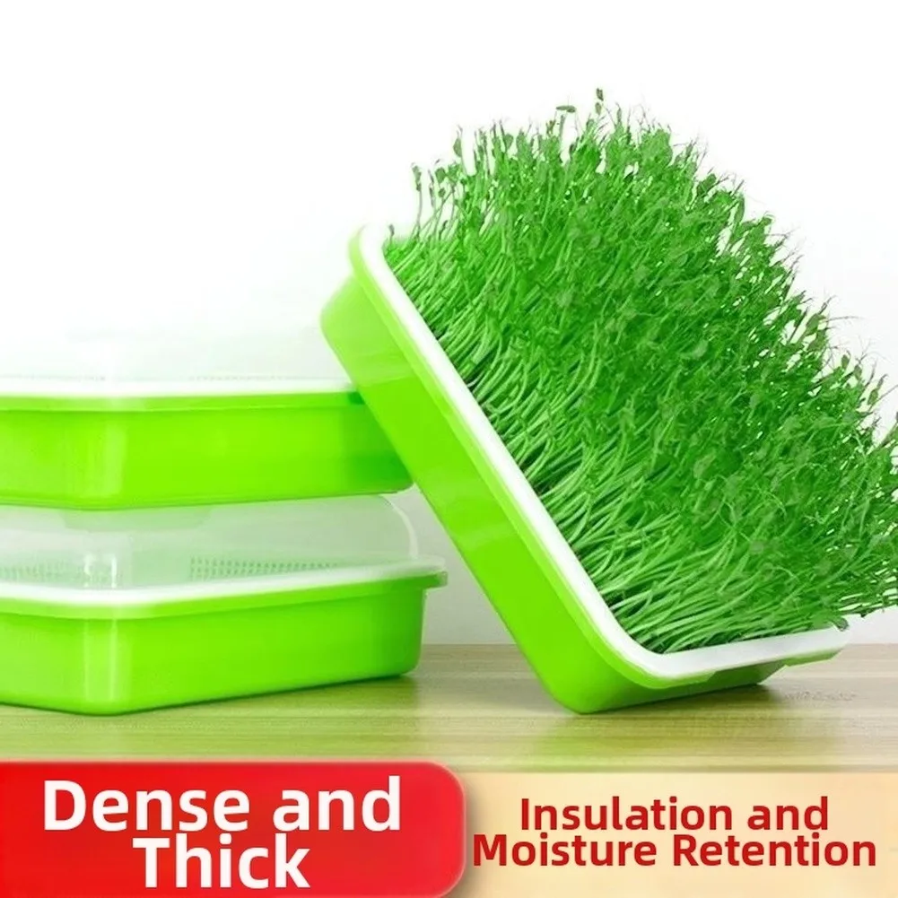Plastic Germination Tray with Lid for Bean Sprouts Wheatgrass Mung Beans Cat Grass Large Capacity Sprouting Tool