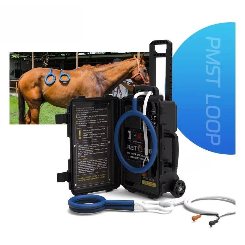 Horseback Magnawave Horse  Pad X-Wing Large Ring and Butterfly Hoop  Therapy Horse