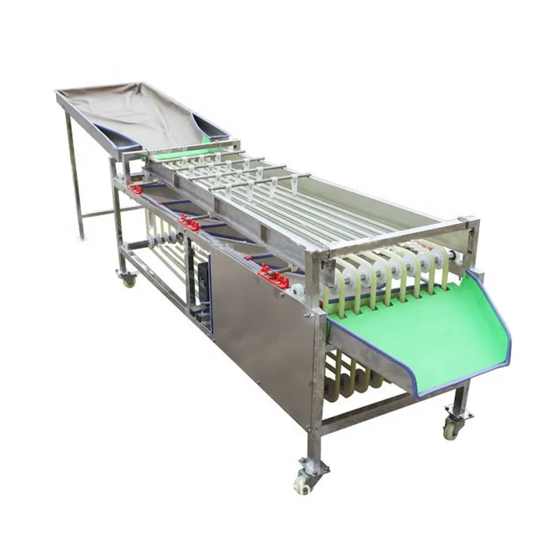 Garlic Avocado Sorting Machine Cherry Tomatoes Blueberry Dates Fruit Grading Machine Vegetable Hawthorn Walnut Potato Classifier