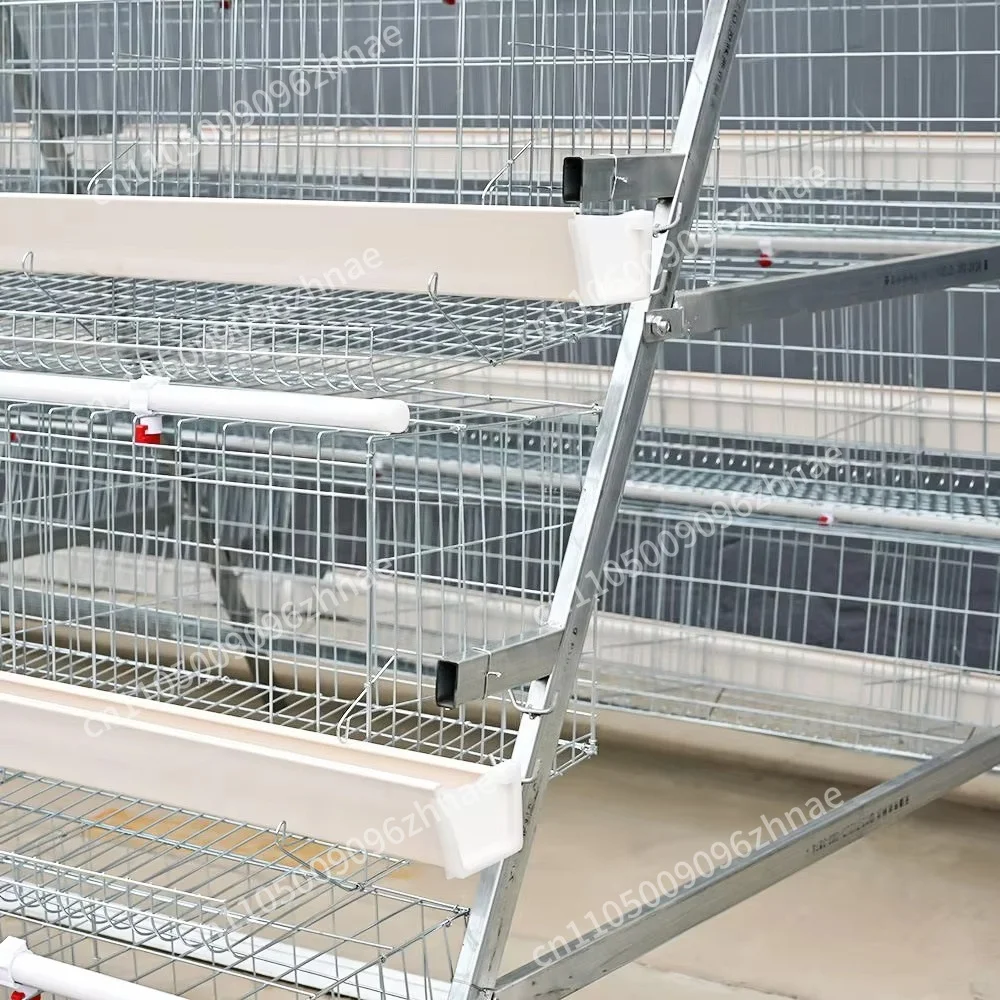 High Capacity A-Type Layer Chicken Cage 4-Layer Galvanized Automatic Egg Laying System for Poultry Farms
