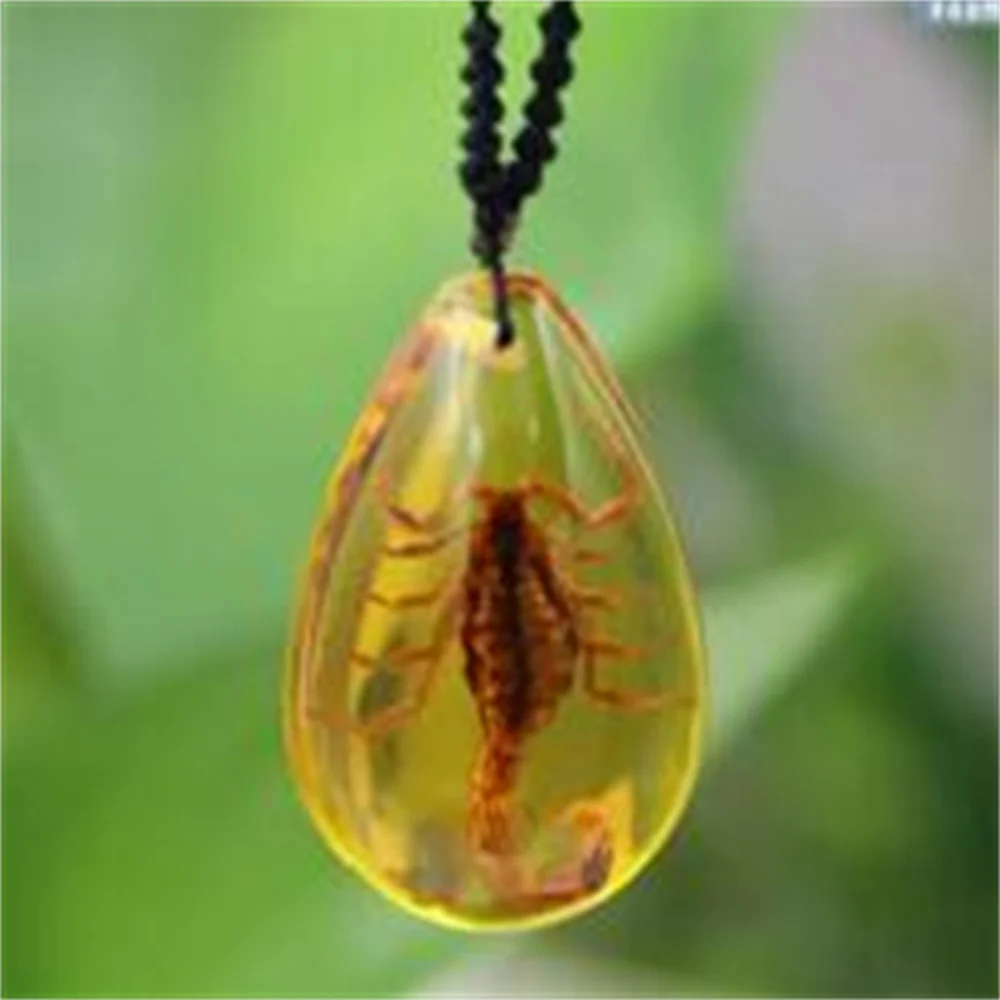 Nieuwe Scorpion King Ketting Real Insect Specimen Hangers Creatieve True Man Ornamenten Kinderen Geschenken