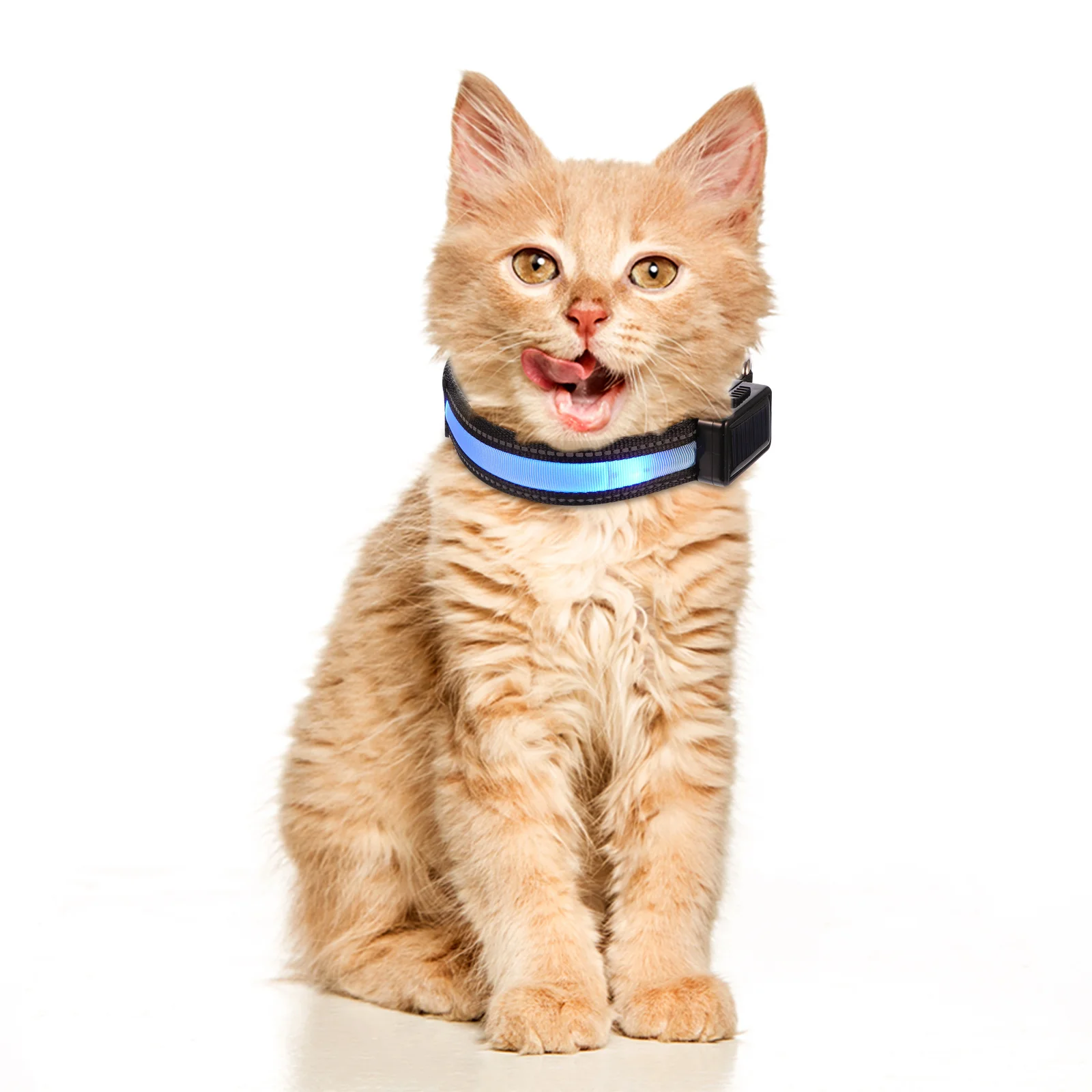 

1 set Led Dog Glowing Led Pet Light Flashing Up For Glowing Collar Puppy Flashing Waterproof Night Safety Collar