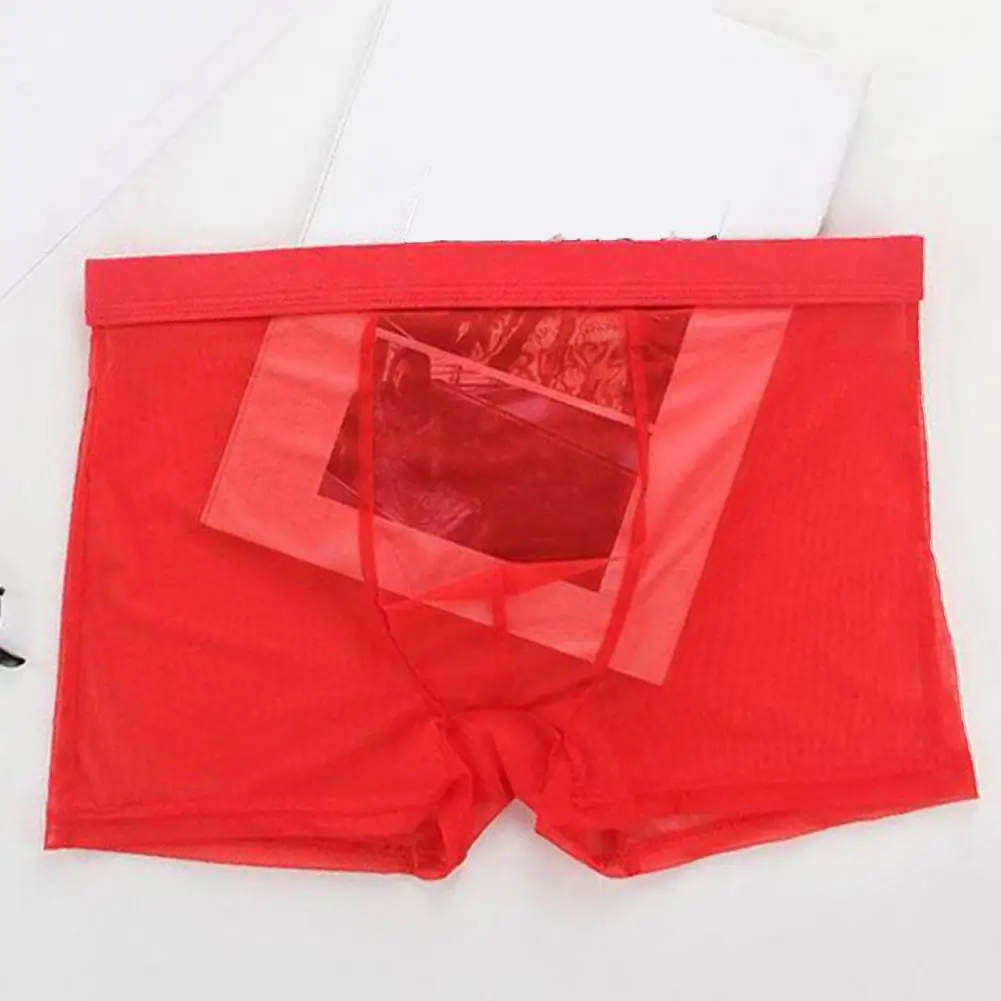 Men Boxers Breathable Ice Silk Cooling Men Panties Men Underwear Visible Sexy Underpants Solid Color Summer See-through Boxers