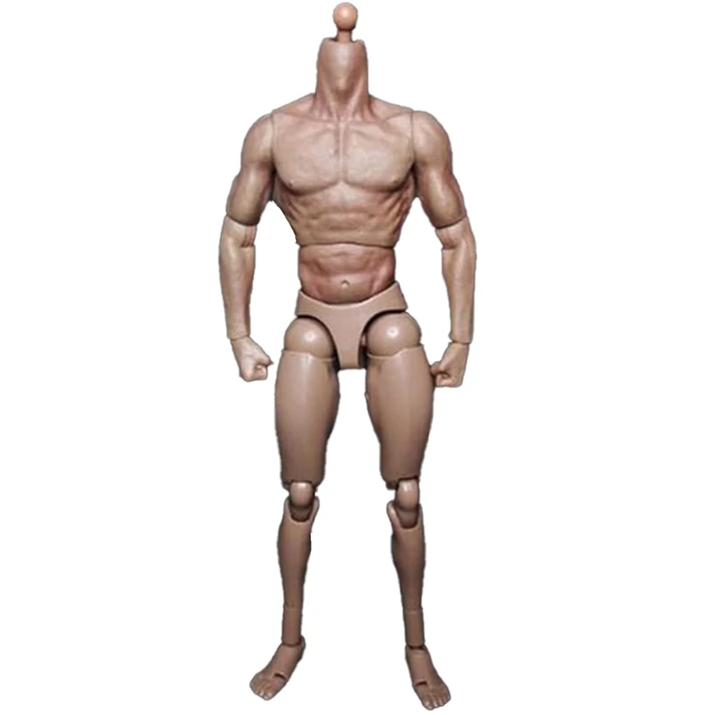 Narrow Shoulder Male Body Doll Action Figure For TTM18 TTM19 Hot Toys & Human Body Sketch Model