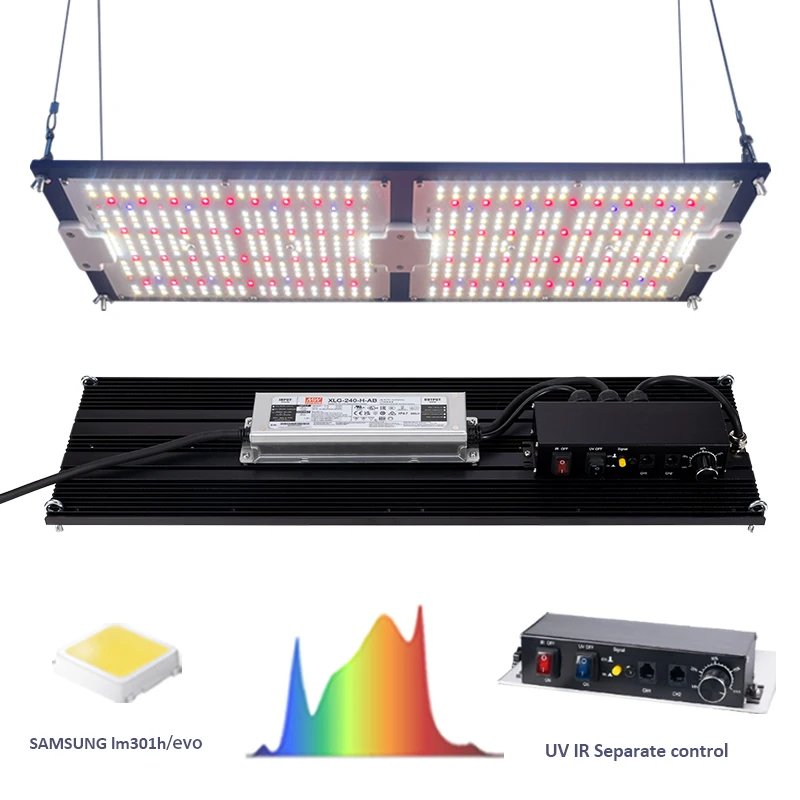 

240w Led Grow Light LM301H Evo Board 120W UV IR Separate Control Meanwell 0-10V Dimmable Greenhouse Grow Tent Grow Led Lights