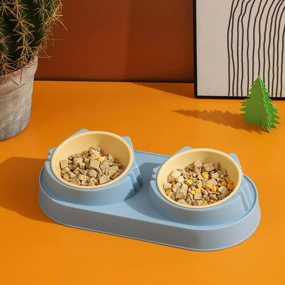 Pet Dish Set Elevated Pet Bowl Set for Dogs Cats Spillproof Cat Feeder with Antislip Base Double Bowls for Food for Kittens