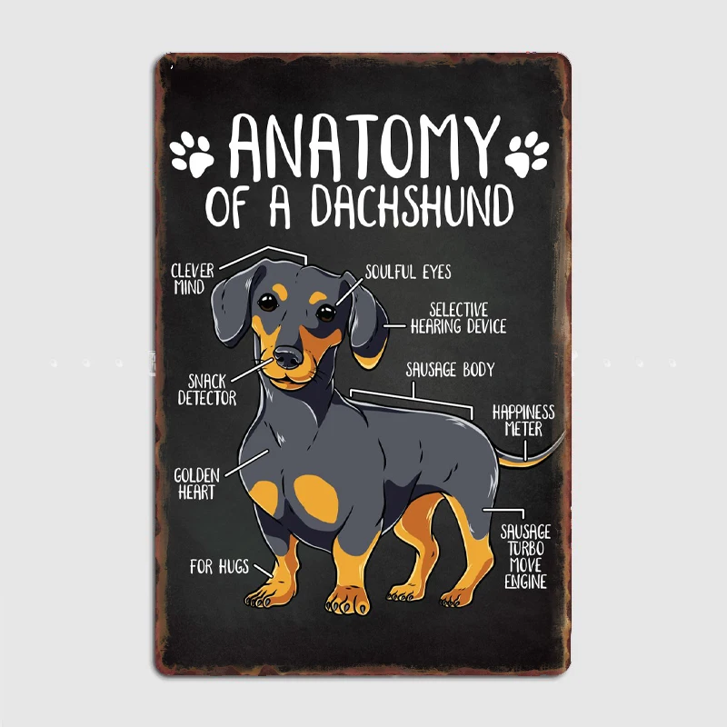 

Anatomy of a Dachshund Dog Metal Sign Mural Painting Cinema Living Room Cinema Funny Tin Sign Poster