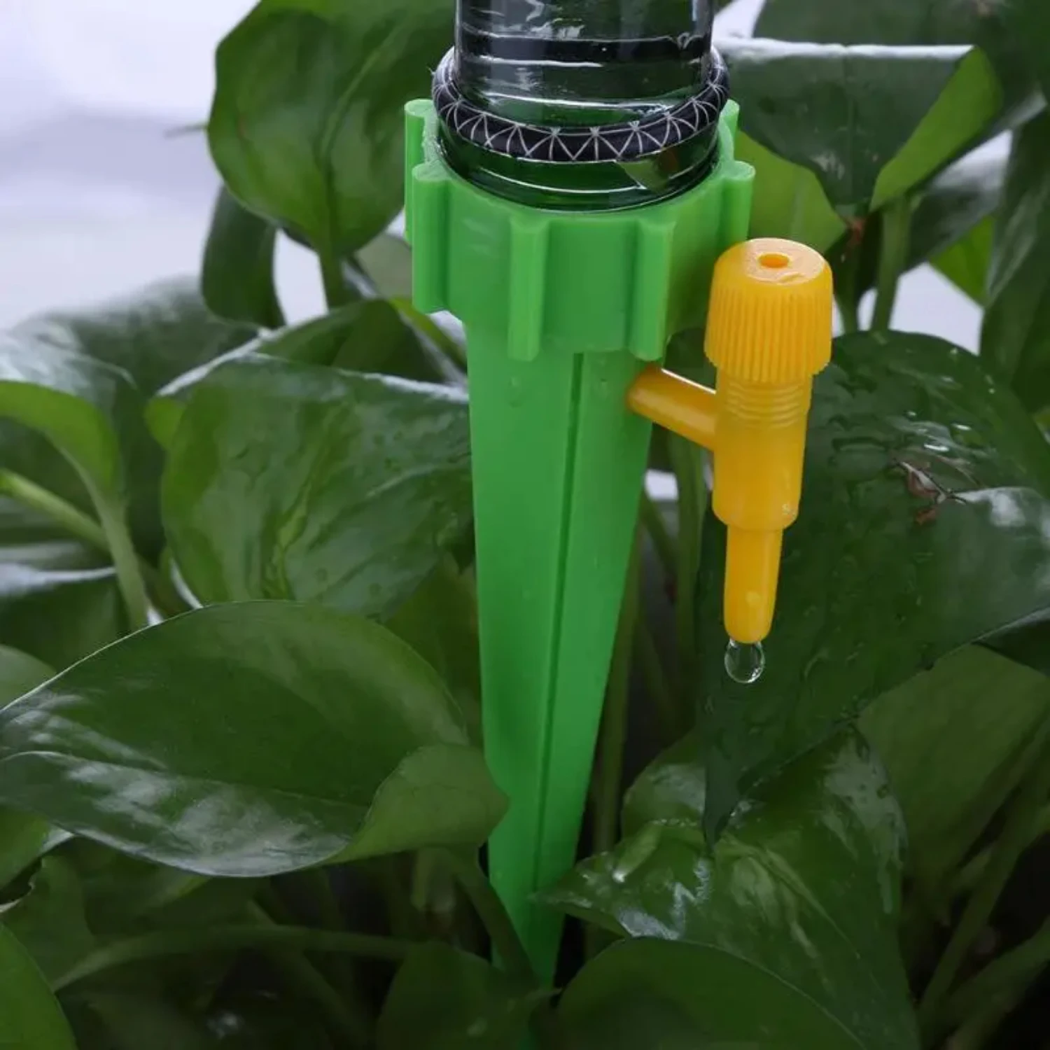 Automatic 12pcs/set Spike Drip Irrigation System for Indoor Household Plants and Flowers, Self-watering Bottle Waterers