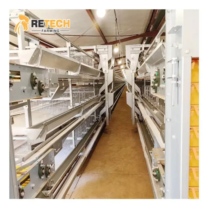 Automatic H Type Galvanized Battery Chicken Cages for Poultry Laying Hens Layer Cages