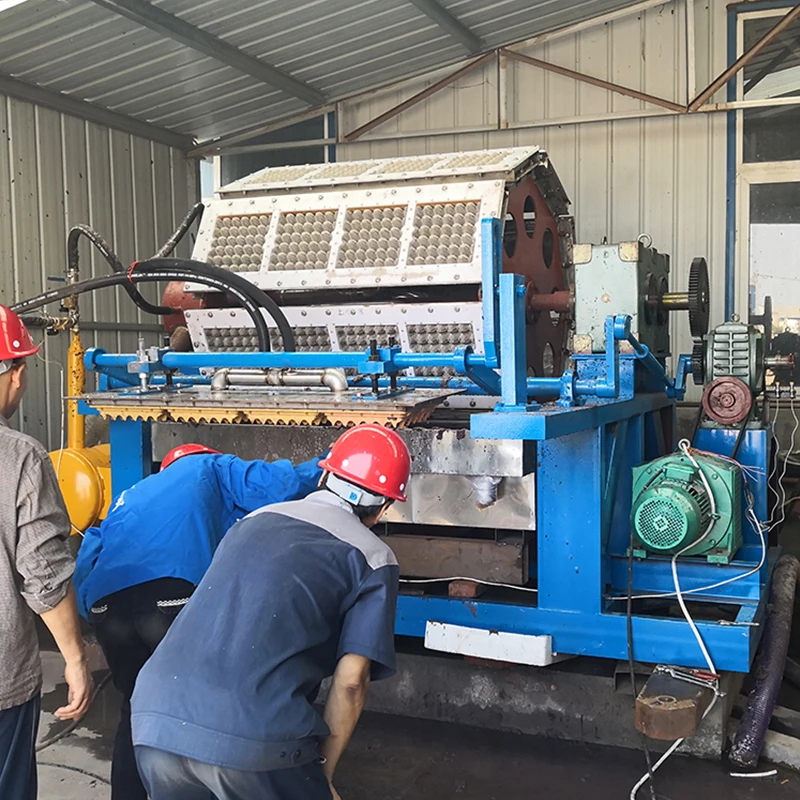 Egg Tray Making Machine With Dryer Device Waste Paper Pulp Molding PLC Pump Bearing Gearbox Core Components Customized