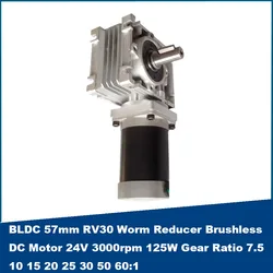 BLDC 57mm RV30 Worm Reducer Brushless DC Motor 24V 3000rpm 125W Gear Ratio 5:1-80:1 single output shaft