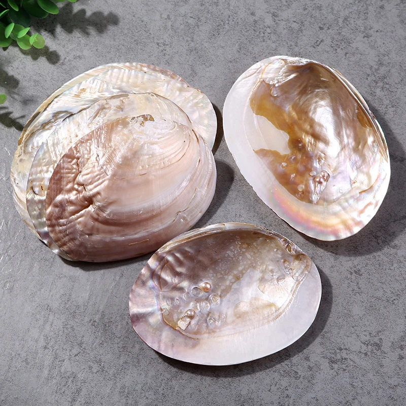 Pearl Clam Shell Ornament, Aquarium Crafts Accessories, Fish Tank Landscape, Home Mediterranean, 2 PCs/Lot, 13-17cm