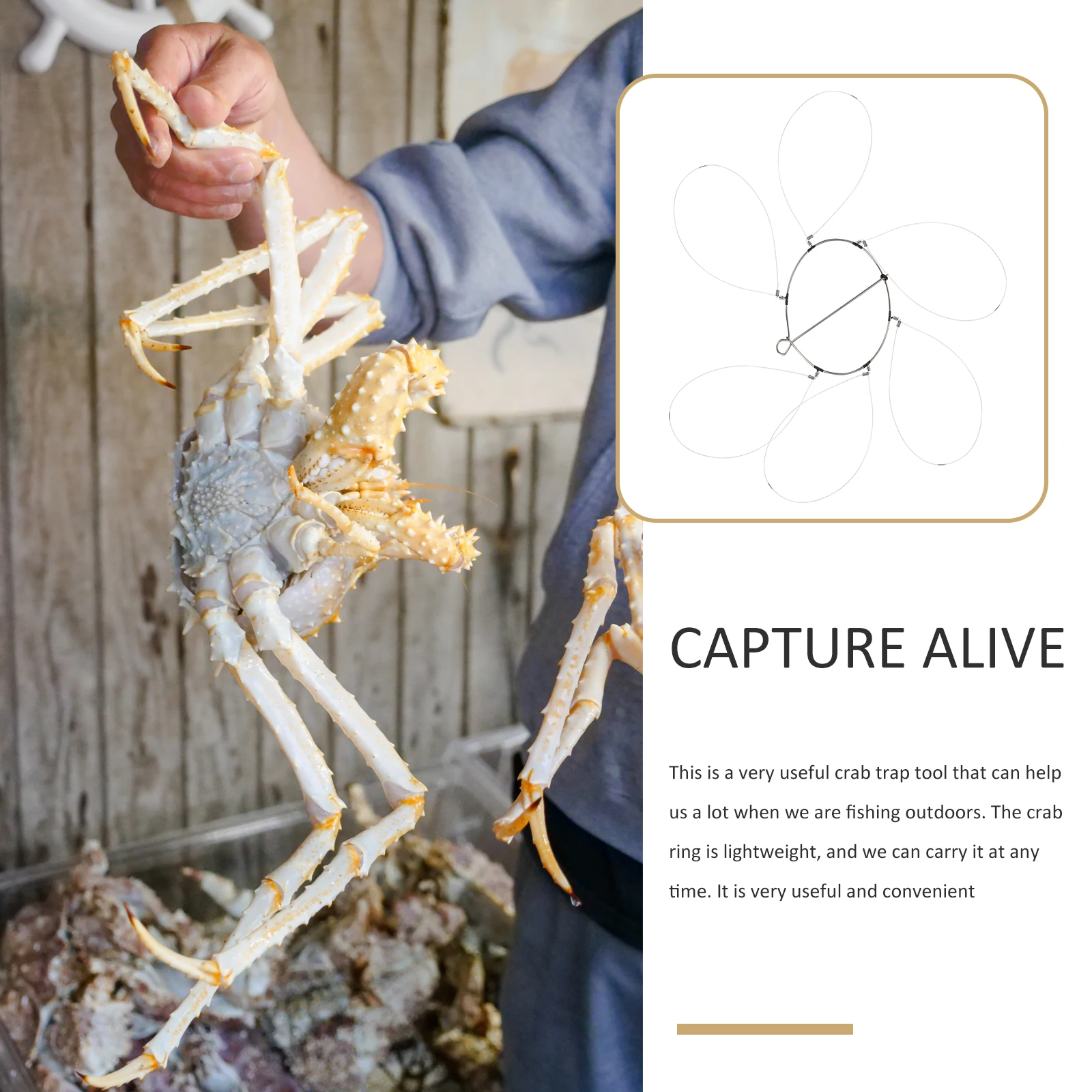 

5 Sets Crab Ring Trap Serial Buckles Circle Loops Clasp Rings Steel Wire Metal Fishing