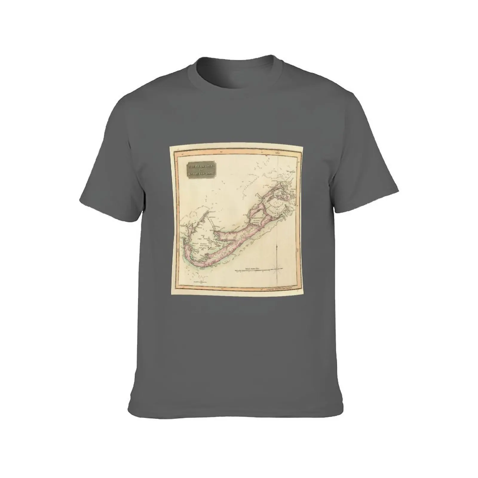 Vintage Bermuda Map (1816) T-Shirt graphic tee shirt valentines boutique clothes shirts men graphic