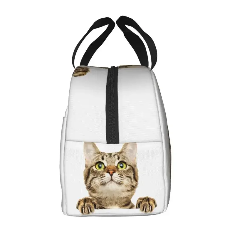 Niestandardowa torba na lunch Funny Cat Peeking Women Cooler Thermal Insulated Lunch Container Box dla dzieci Szkoła Praca Piknik Torby na żywność