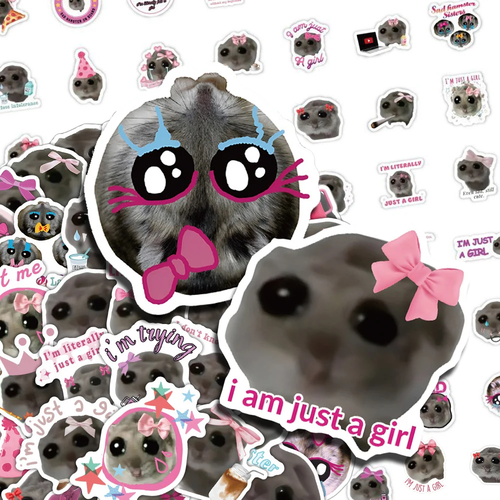 10/30/60pcs Divertente Carino Criceto Triste MEME Del Fumetto Decalcomanie Degli Autoadesivi FAI DA TE di Skateboard Chitarra Del Computer Portatile Bagagli Kawaii Animale adesivo Decor