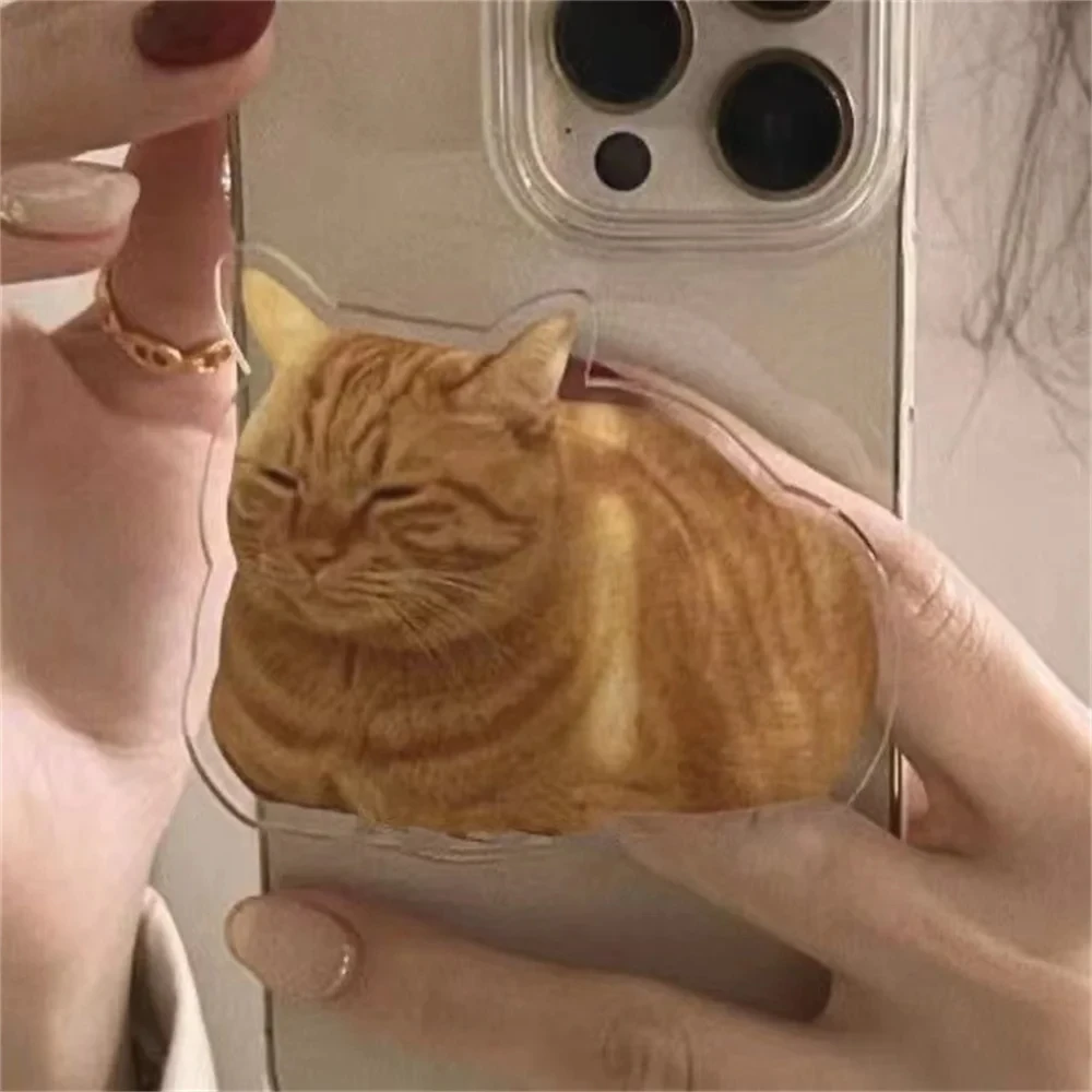 Korean Cute Ginger Cat Phone Griptok Korea Holder Ring For iPhone 15 14 Lovely Samsung Accessories Phone Stand Holder Grip Tok