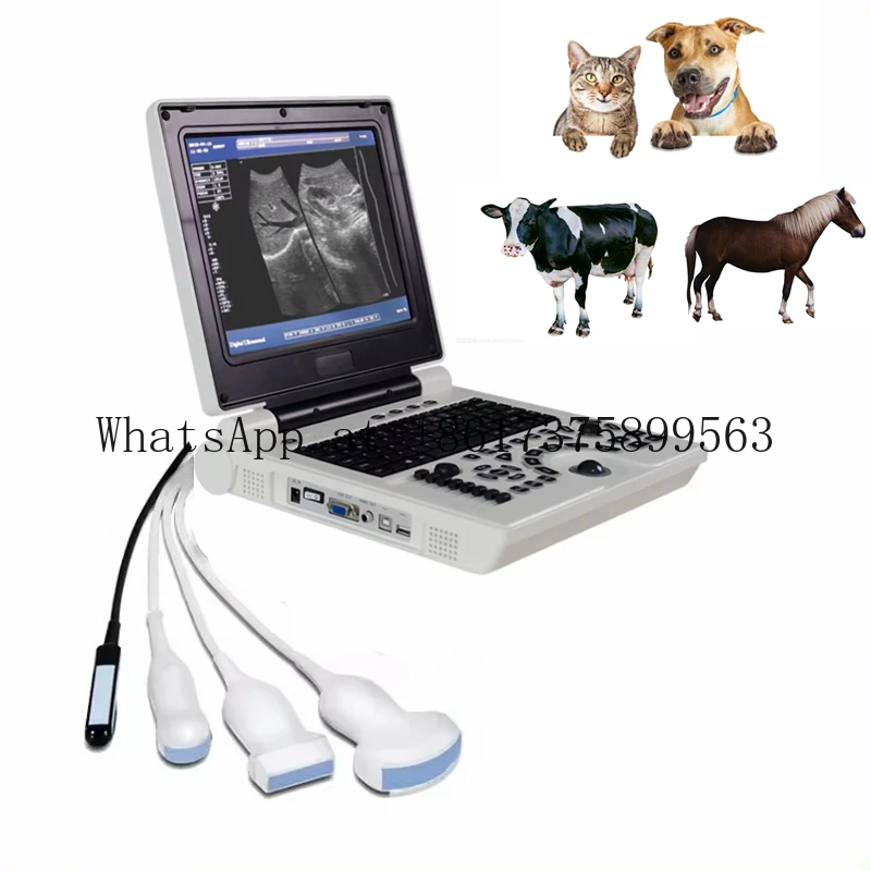 12 Inch LED Screen Black & White Veterinary Scanner Por Animal Pet USG Diagnostic hine