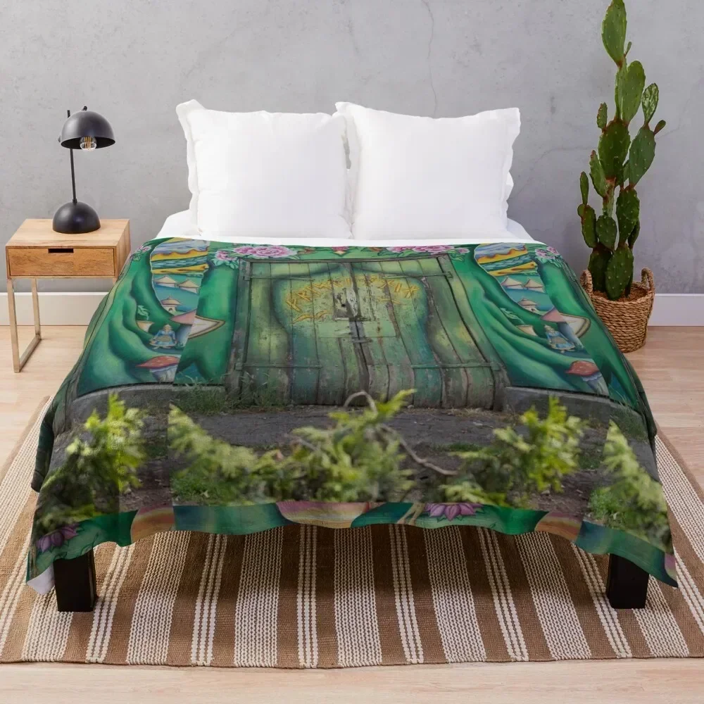 Одеяло с зеленой дверью, Копенгаген, Кристинии, роскошное дизайнерское одеяло для пикника, термобелье для путешествий
