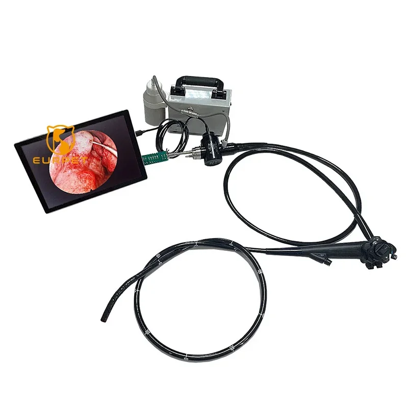 EUR PET Best Price Flexible Video Colonoscope Endoscope Olympus Fiberoptic Tower Colonoscope With Gastroscope Endoscope