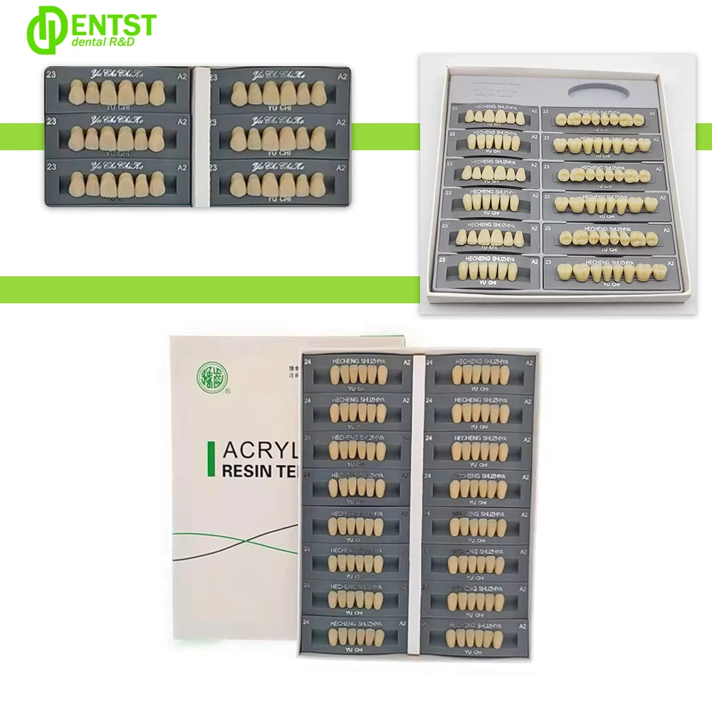 96 Buah/Boks Gigi Resin Sintetis Gigi Multi-lapis Warna Tinggi Tahan Aus Gigi Posterior Anterior Model Pendidikan Gigi