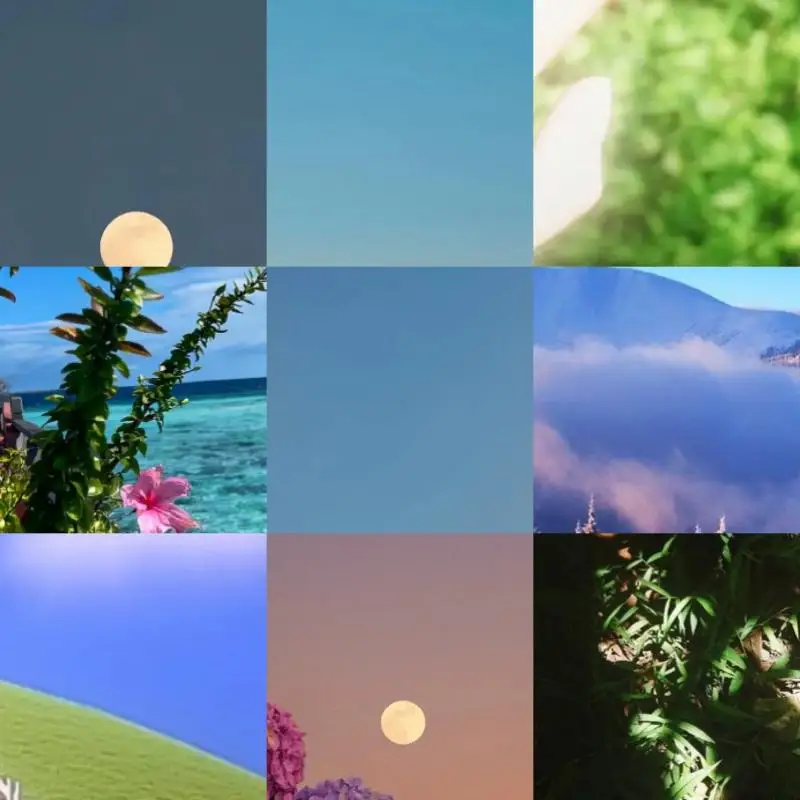 For Switch Pro Char…