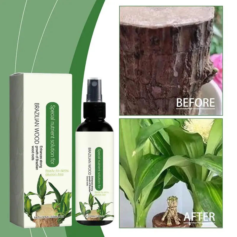 Brazilian Wood Plant Food Lucky Brazilian Wood Houseplant Fertilizer Brazilian Wood Flowering Special Nutrient Solution