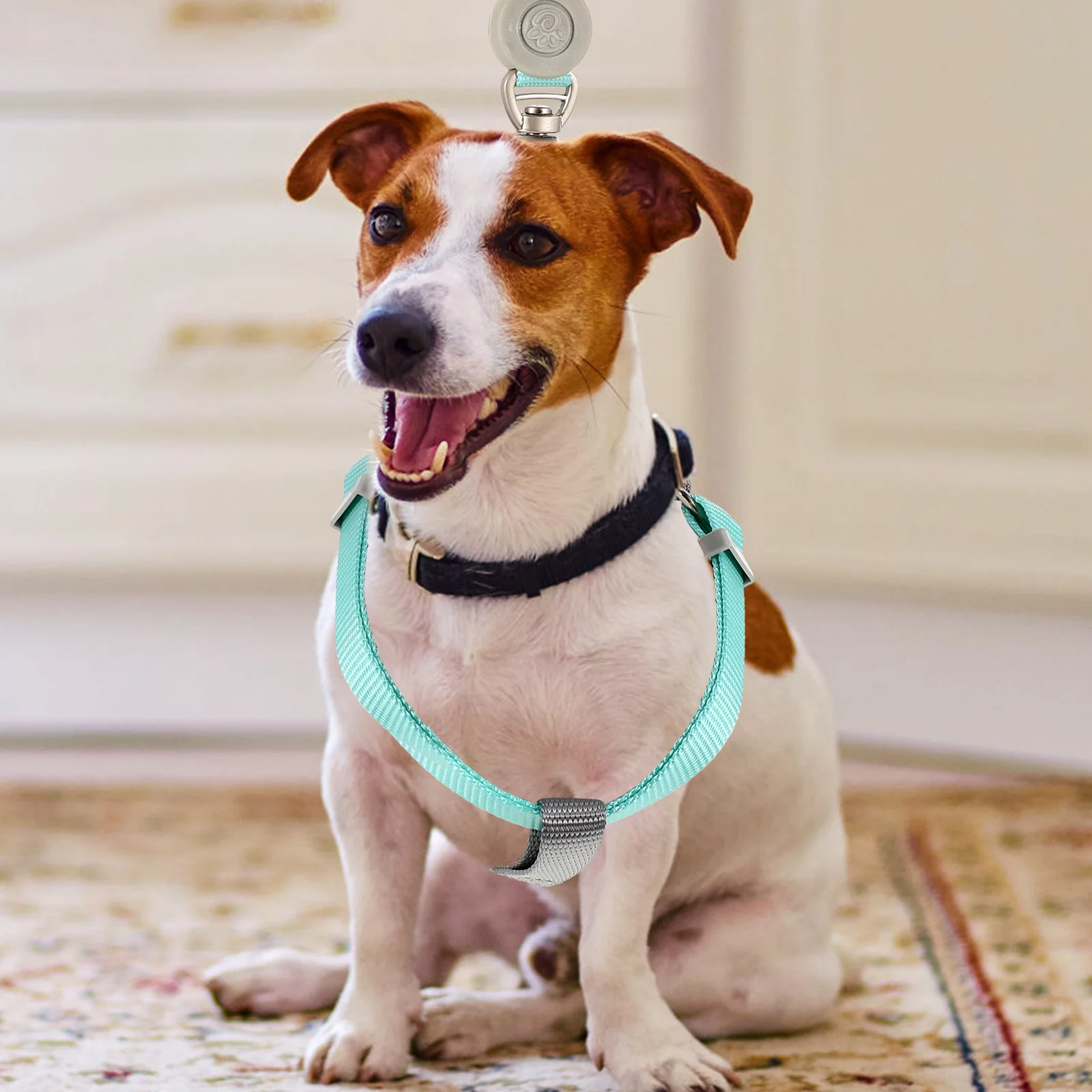 

1 set 1 Set Of Dual D-Ring Dog Adjustable Lightweight For Small Medium Dogs Outdoor Walking Puppy Leash Harness Set Pet Harness