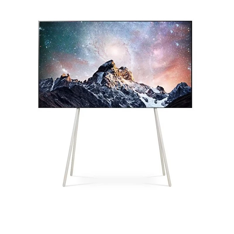 LED Flat Panel TV 42/48 Inch Accessories Movable Art Floor Display Stand