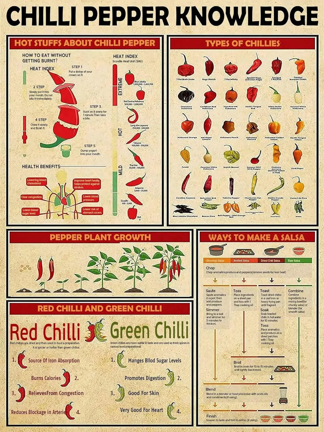 Chilli Pepper Knowledge Metal Tin Sign Types Of Chillies Chart Wallart Artwork Poster Farm School Office People Cave Bedroom Li