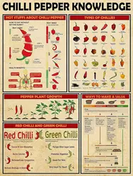 Chilli Pepper Knowledge Metal Tin Sign Types Of Chillies Chart Wallart Artwork Poster Farm School Office People Cave Bedroom Li