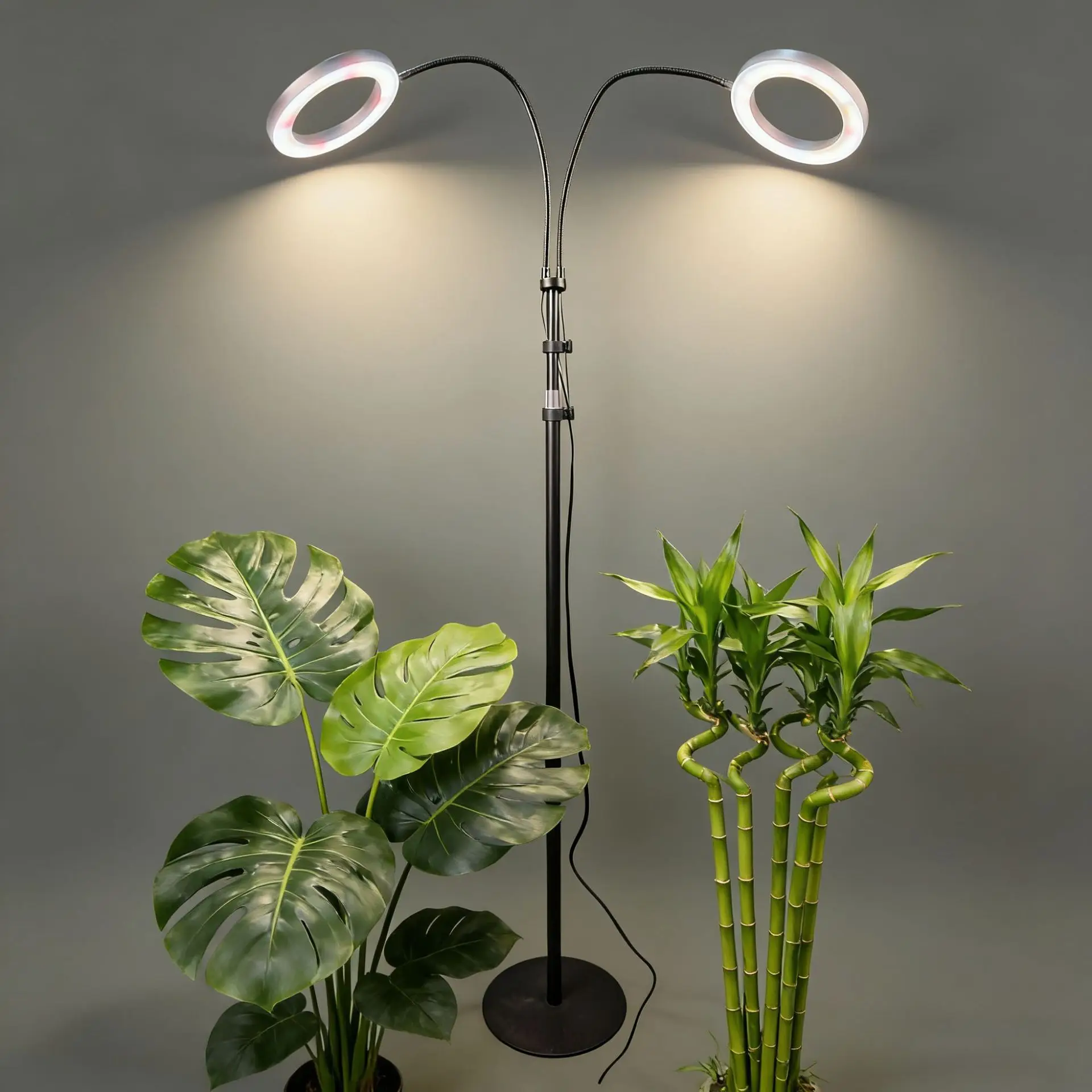 1.7m Extendable Floor Angel Ring Grow Light 360° Rotatable Full Spectrum Timer Lamp For Large Indoor Succulent Flower Layout