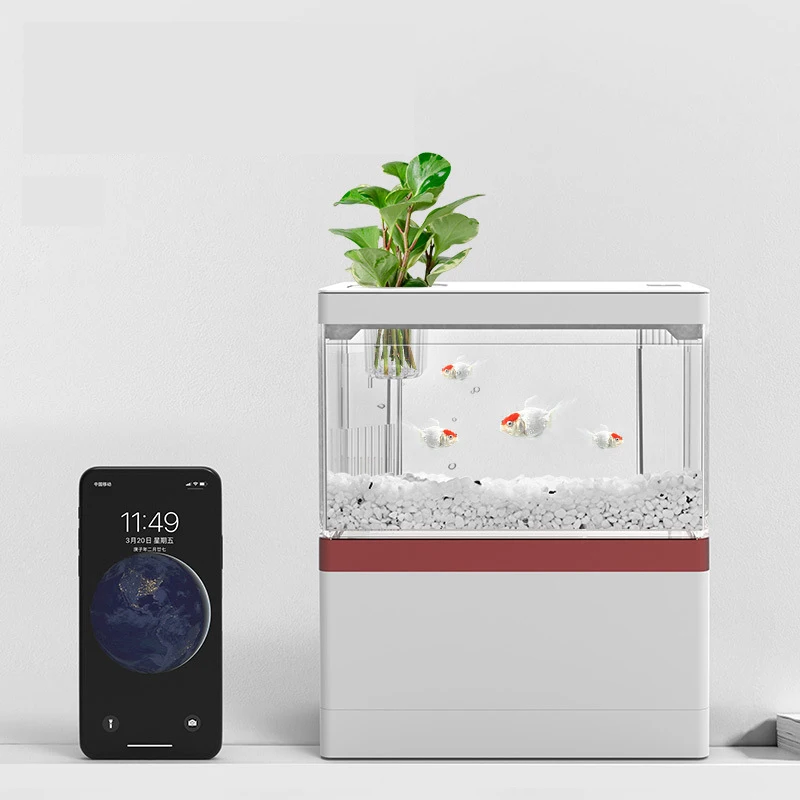 Mini Desktop Fish Tank Transparent USB/Battery Powered Aquarium with LED Light