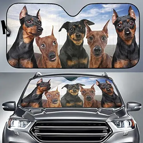 

Забавный миниатюрный солнцезащитный козырек Pinscher с рисунком голубого неба, миниатюрный солнцезащитный козырек для всей семьи, для любителей собак, автомобилей