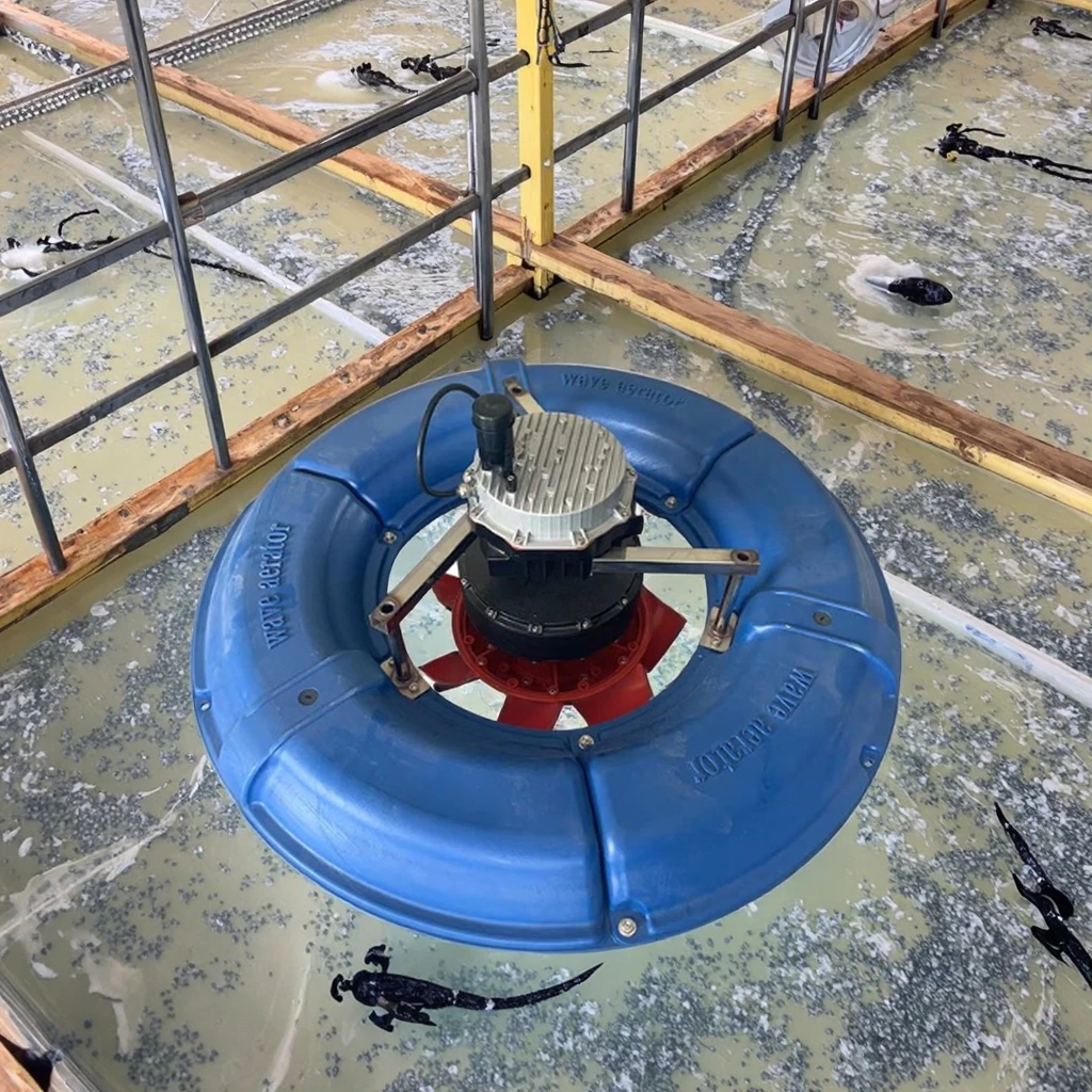 China Electric Water Pump Fish Aerator Motor Core Pond Aquaculture Fish Shrimp Farming Floating Machine 1.5-3kW 3-8 Acres