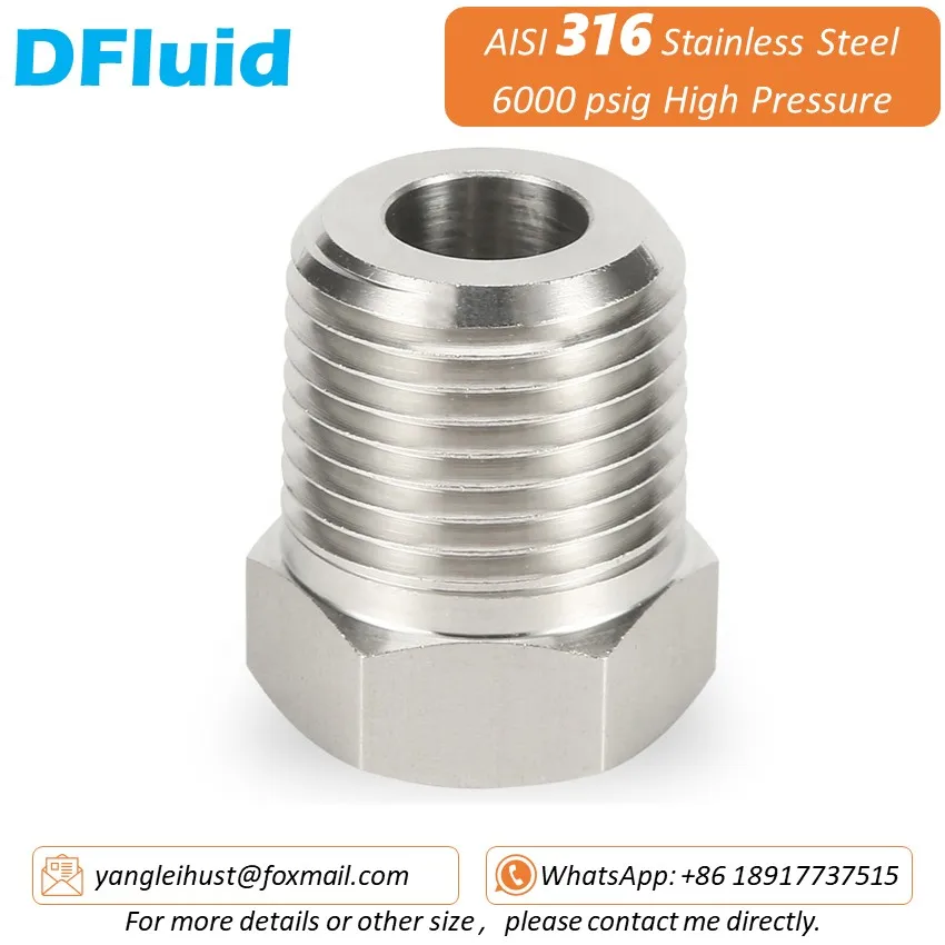 SUS 316 Reducing Bushing NPT BSP BSPT 1/8